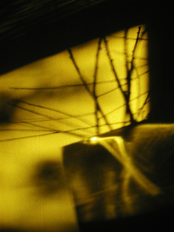 Yellow Shadows 1