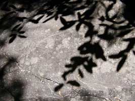 Yocemite Shadows 2004